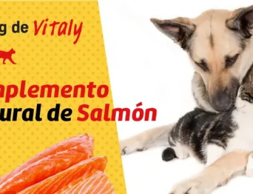ACEITE DE SALMÓN VITALY: UN COMPLEMENTO NATURAL PARA LA SALUD FR TU MASCOTA