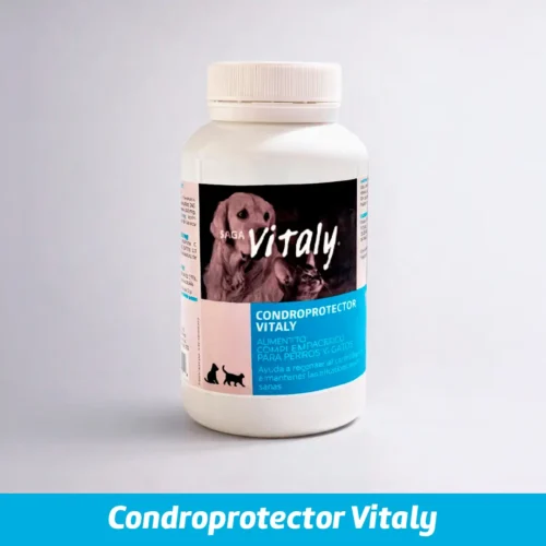 Condroprotector Vitaly
