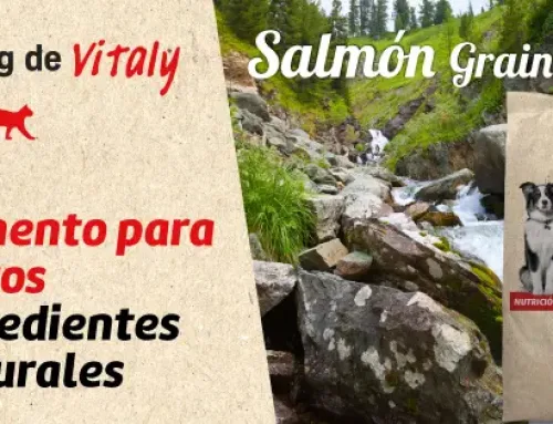Salmón Grain Free: Nutrición de calidad con ingredientes naturales para tu perro