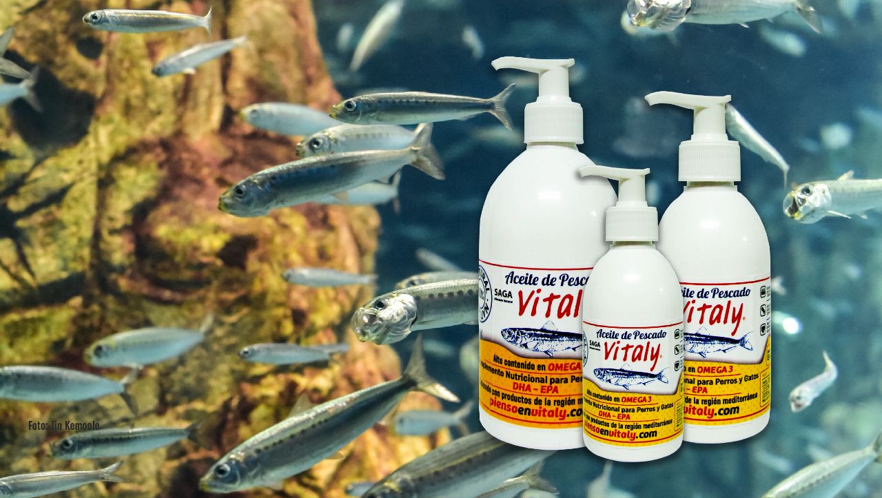vitaly aceite de pescado natural slider web