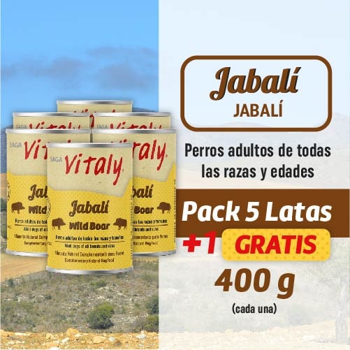 Oferta Vitaly Jabalí 5 latas más 1 gratis