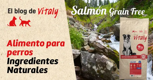 Alimentos para-perros con ingredientes naturales