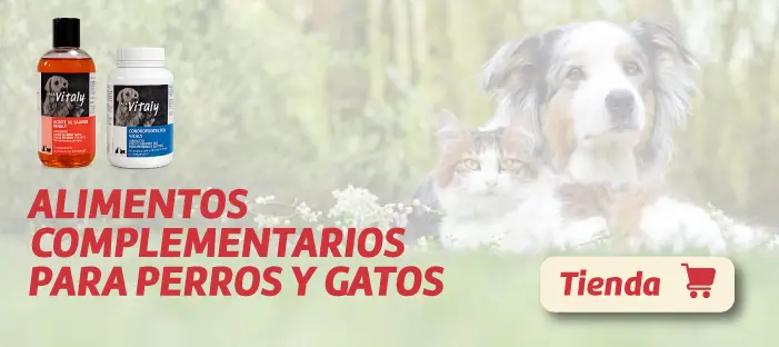 Alimentos Complementarios para Perros y Gatos - PiensoenVitaly