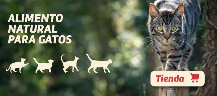 Alimento Natural para Gatos - PiensoenVitaly