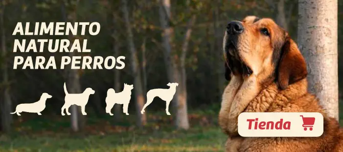 Alimento Natural para Perros - PiensoenVitaly