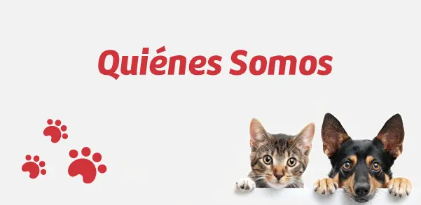Quiénes somos Vitaly