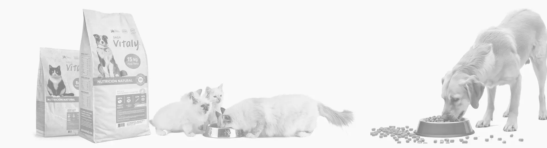 Alimento perros y gatos - Vitaly