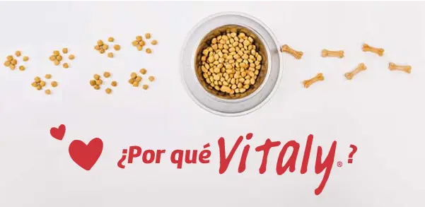 Perro y Gato Vitaly
